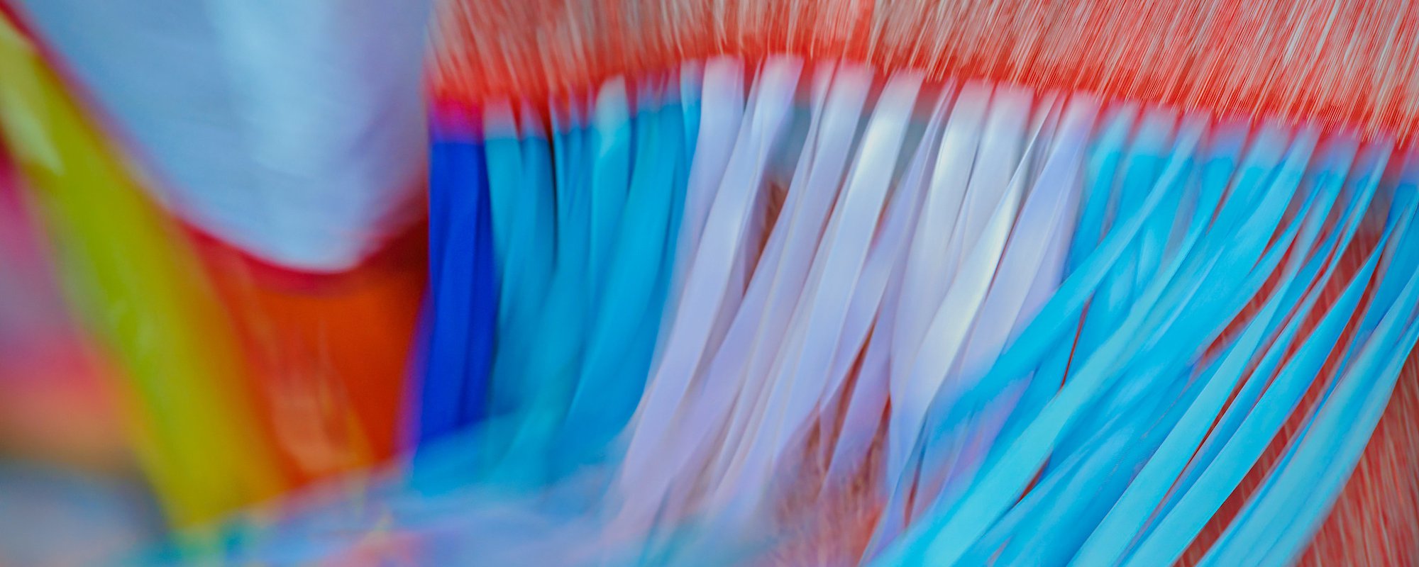 Aboriginal Chamber Calls on Province to Change Course on UNDRIP Act