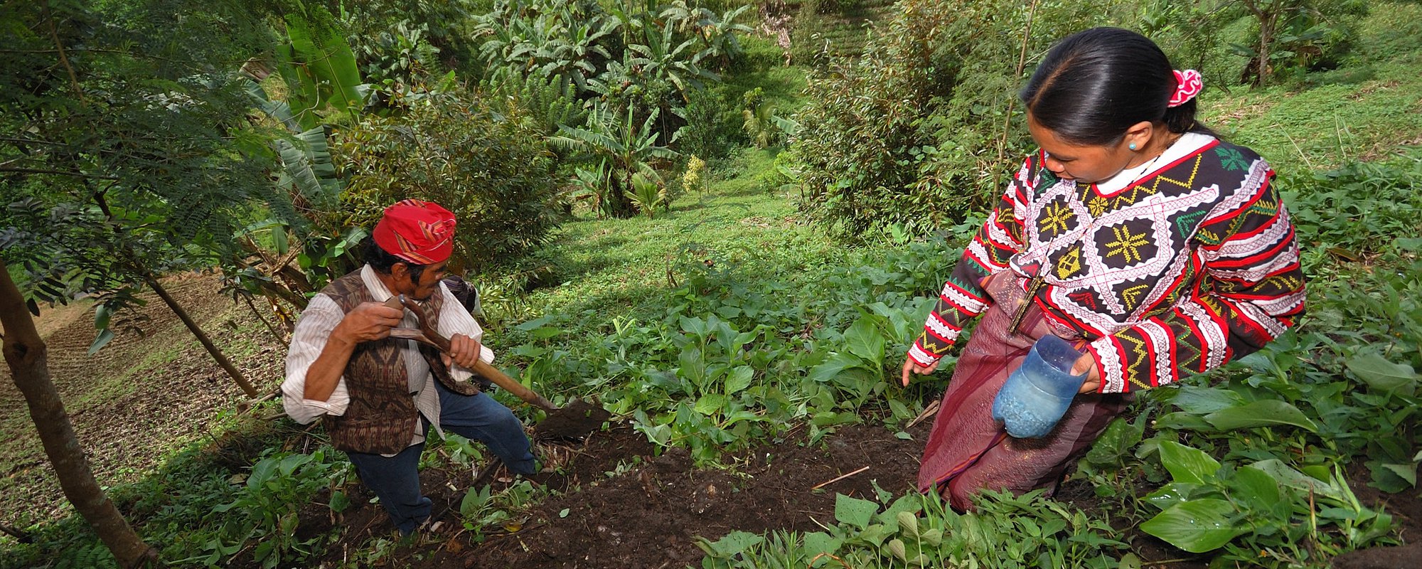 Asia Indigenous Peoples Pact (AIPP)’S Handbook: Extractive Industries and Free, Prior and Informed Consent of Indigenous Peoples