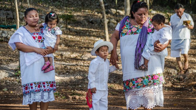 Basic steps for the consultation process and free, prior and informed consent in the Yucatan Peninsula