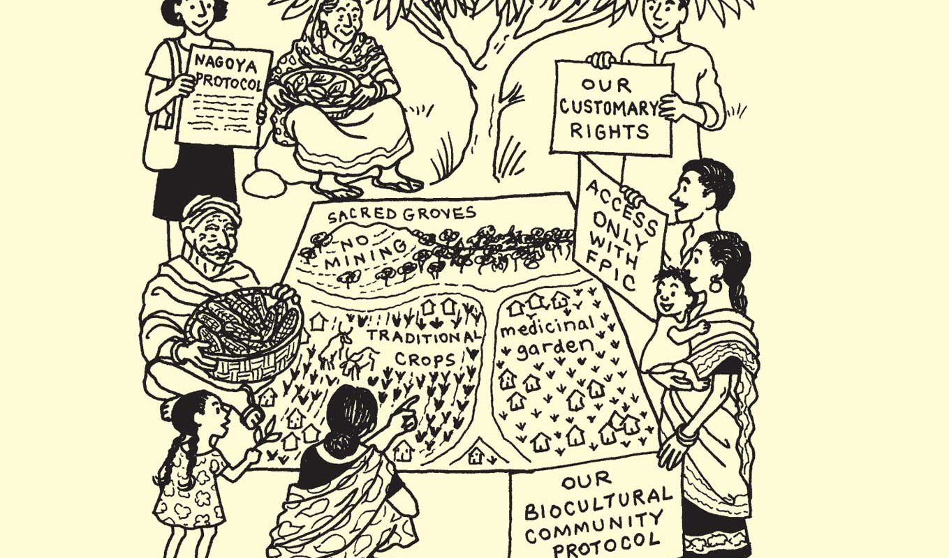 Biodiversity and Culture: Exploring Community Protocols, Rights and Consent