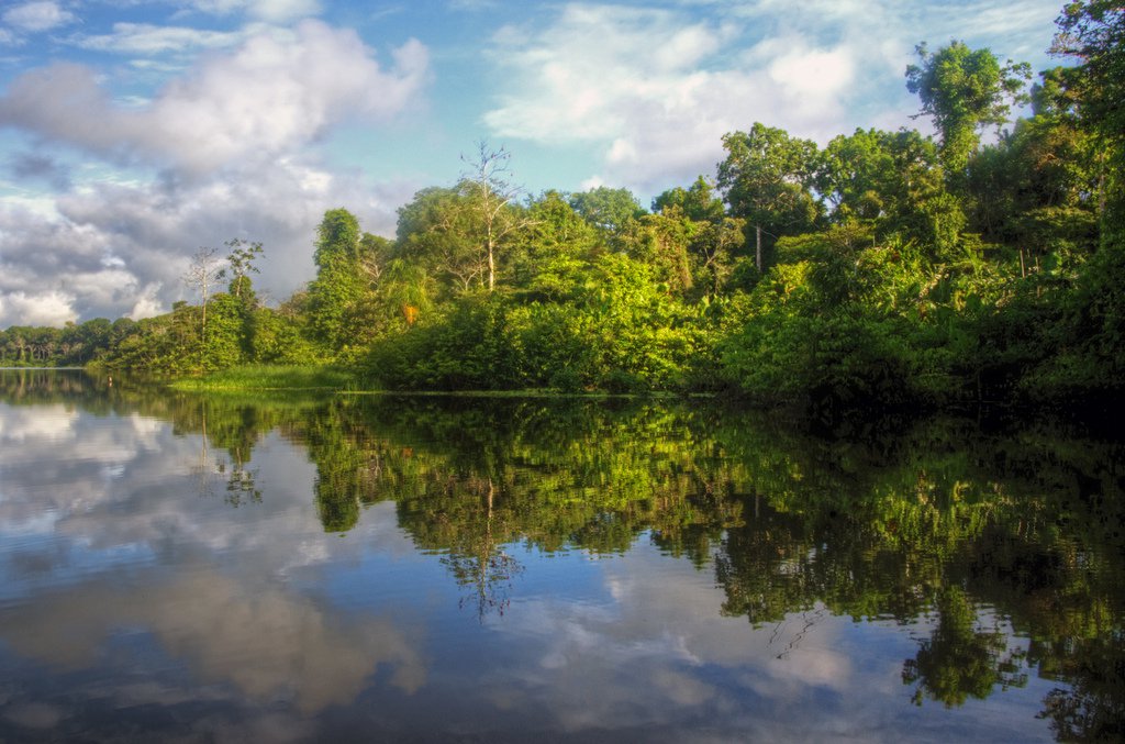 Case study Mining in indigenous territories of the Guainia in the Orinoquia and the Colombian Amazon