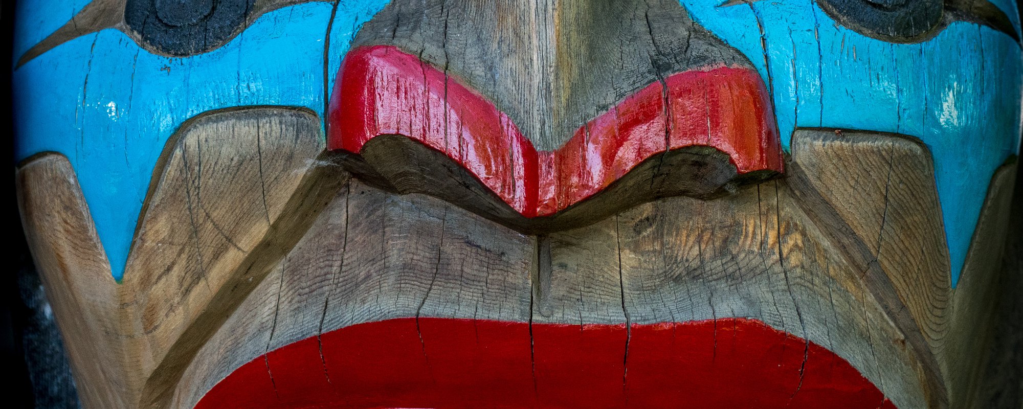 Consultation, Consent, and the Silencing of Indigenous Communities