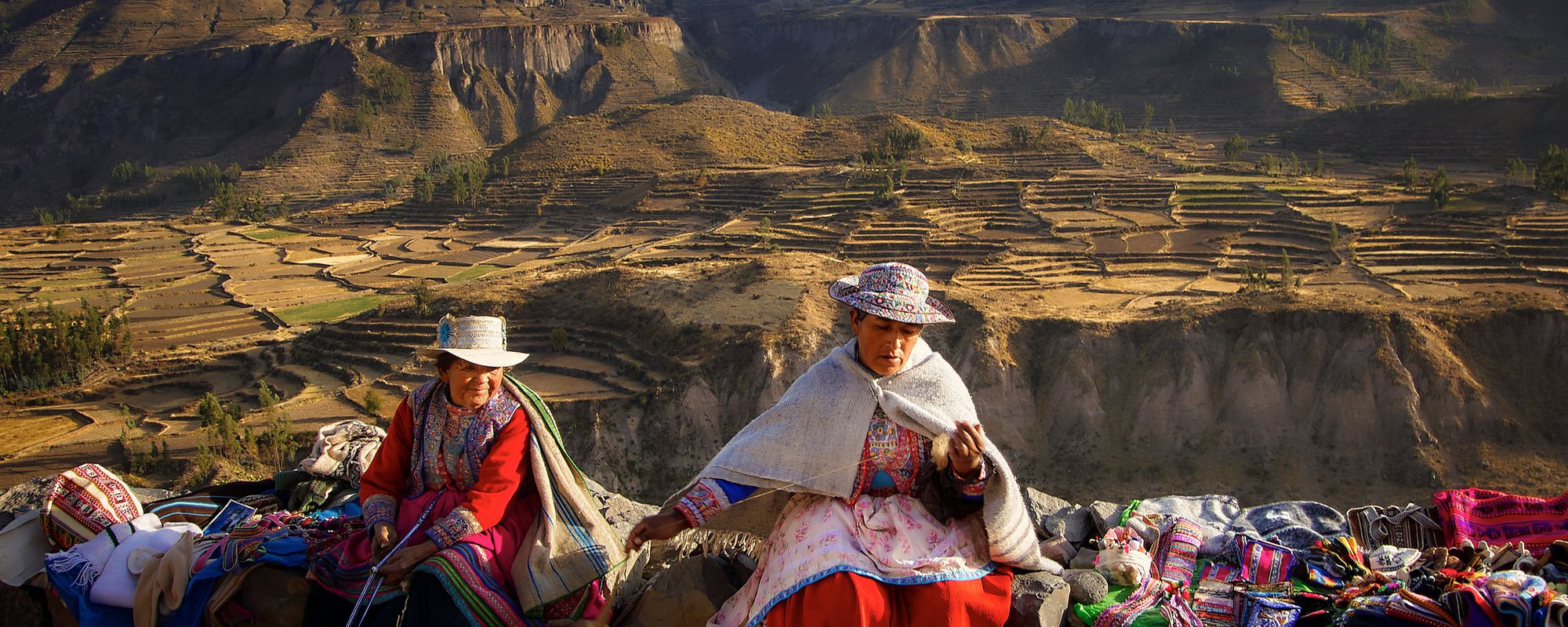 Contesting the Limits of Consultation in the Amazon Region: On Indigenous Peoples' Demands for Free, Prior and Informed Consent in Bolivia and Peru