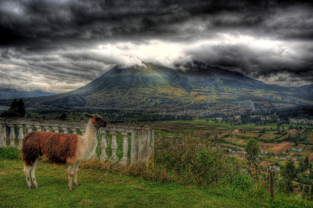 Ecuador: Derechos de los Pueblos Indígenas y Acoso a Manifestantes