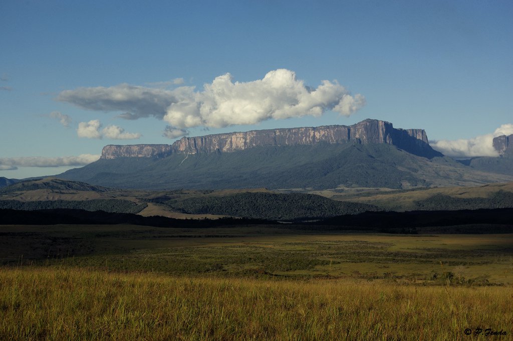 The implosion of Venezuela's rentier state