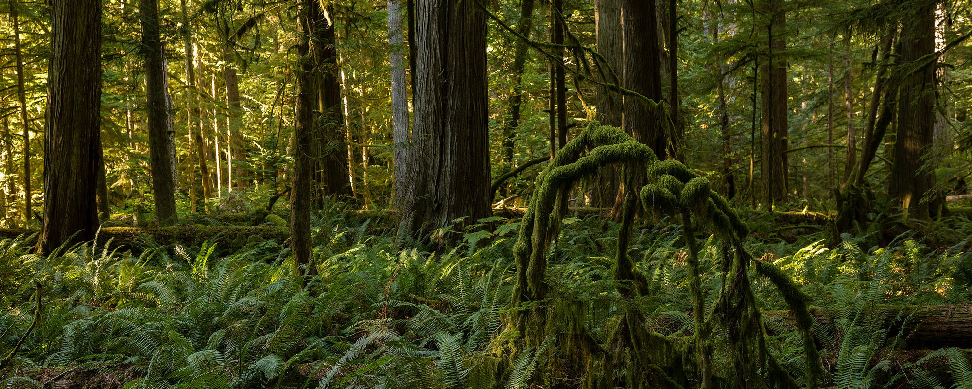 Indigenous Communities and Industrial Camps: Promoting Healthy Communities in Settings of Industrial Changes