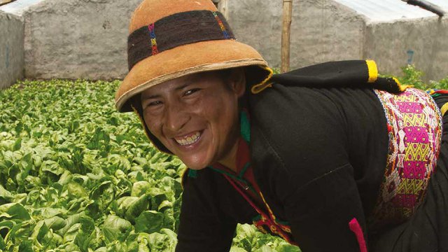 Indigenous peoples and mining position statement