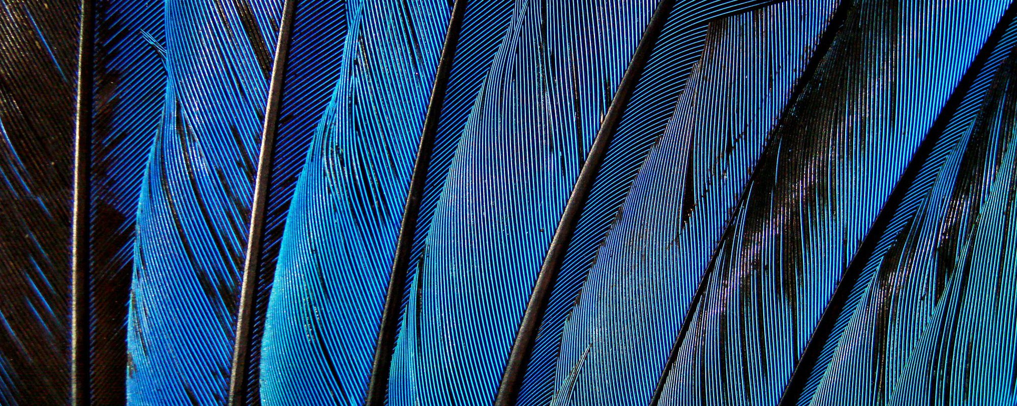 Indigenous Peoples Face Rise in Rights Abuses During Pandemic, Report Finds