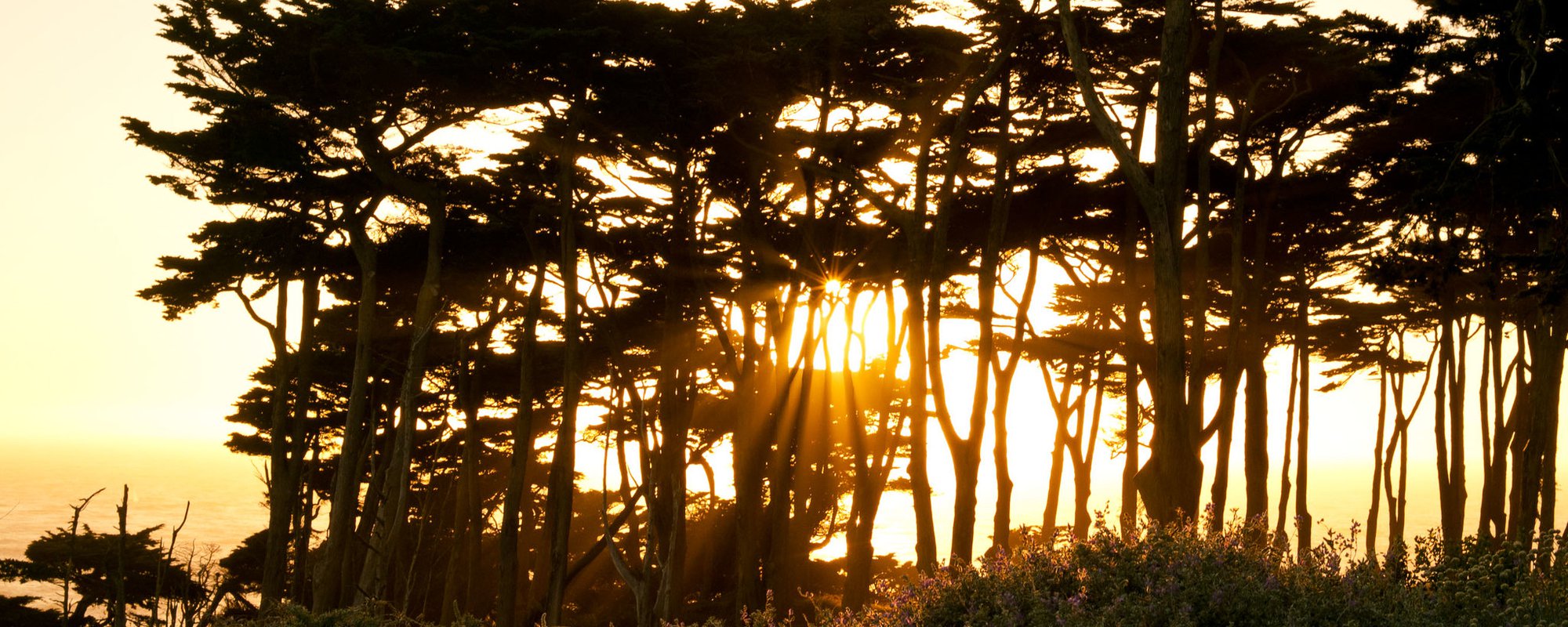 A New Era: Free Prior and Informed Consent