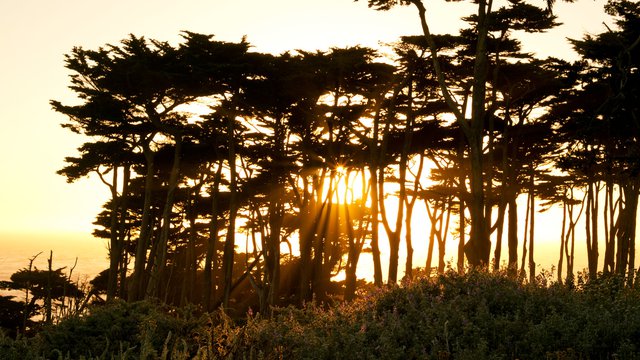 A New Era: Free Prior and Informed Consent