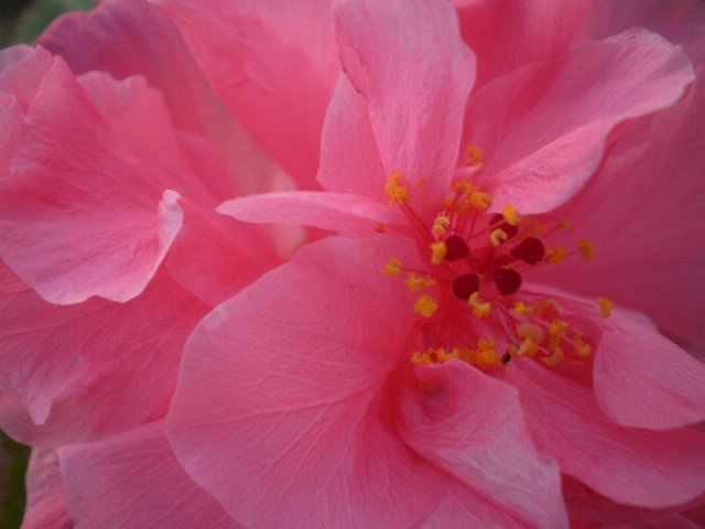 Passage of National UN Declaration Implementation Act a Milestone for Indigenous Rights and Reconciliation