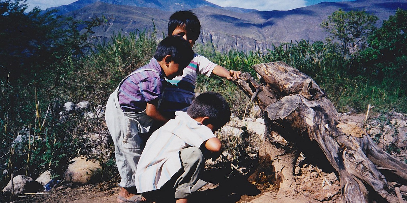 Previous Consultation: Perú