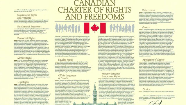 Section 35 New Constitution Infographic