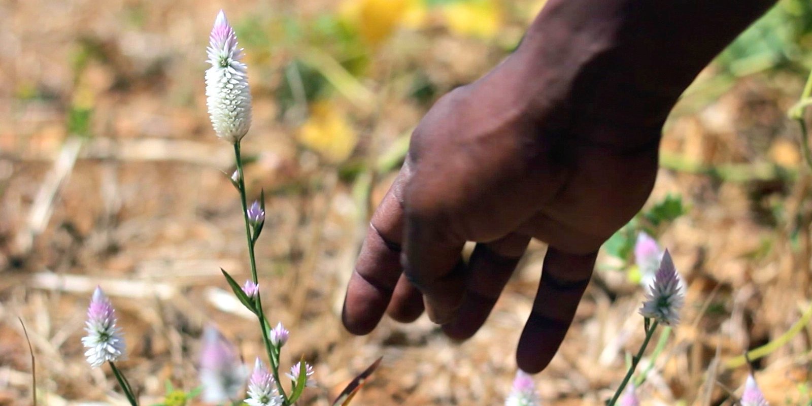 The Rise of Indigenous Resource Interests – Pathway to Success
