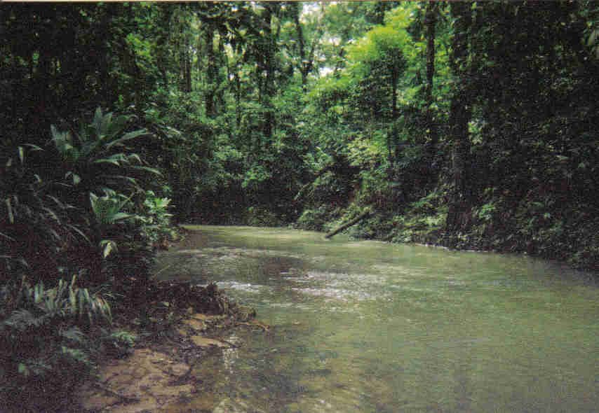 The titling of indigenous territories in the Honduran Muskitia