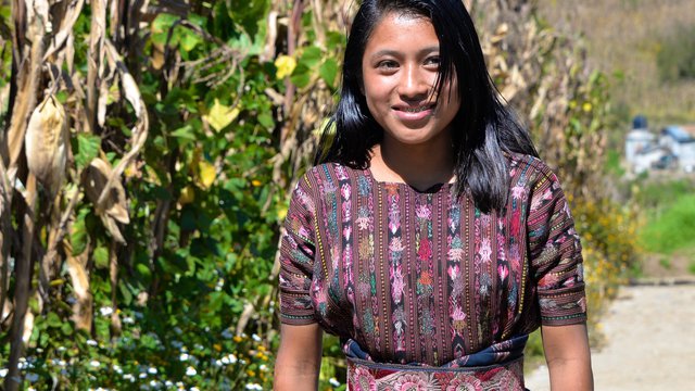 Understanding and Implementing the UN Declaration of the Rights of Indigenous Peoples: An Introductory Handbook