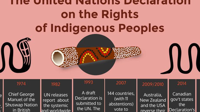 UNDRIP Infographic