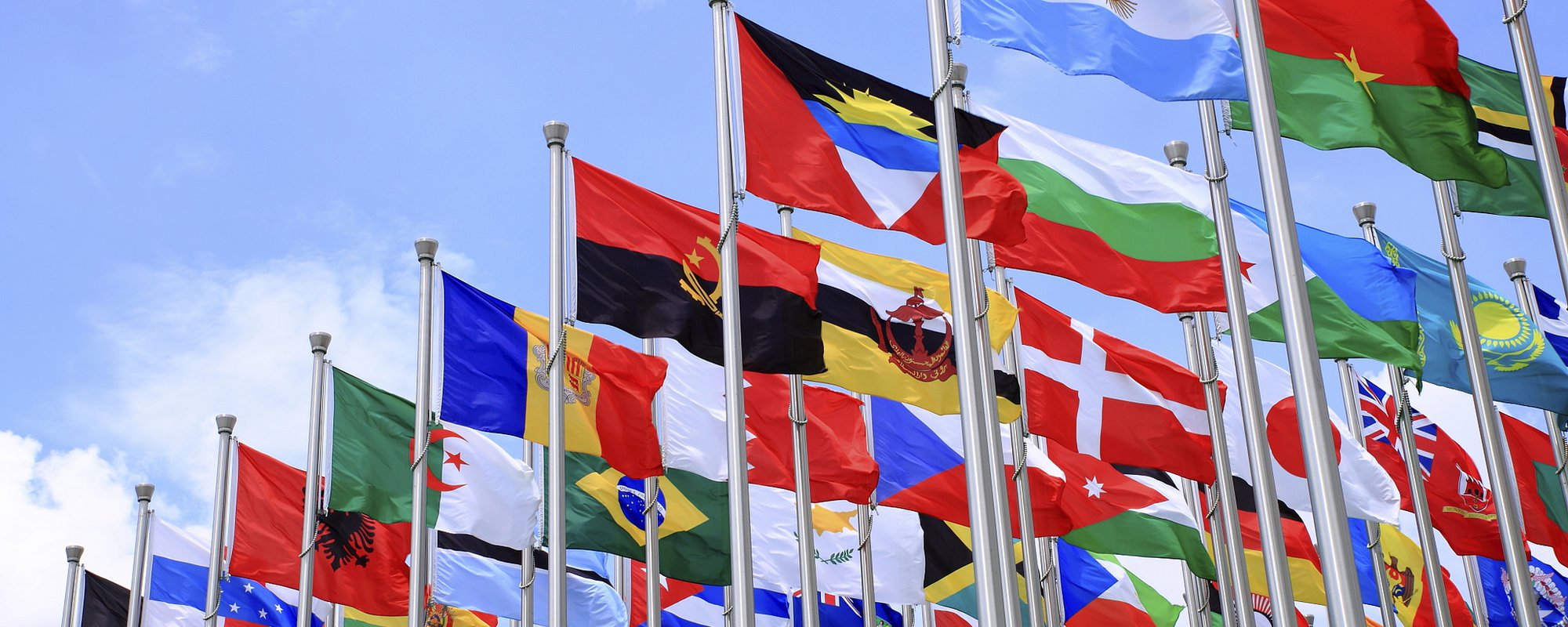 United Nations Declaration of the Rights of Indigenous Peoples: Provisions Relevant to Consent