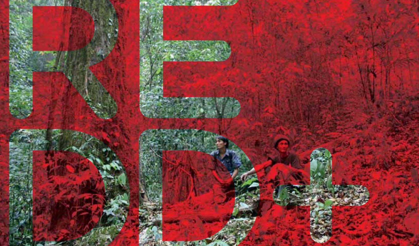 What is REDD+? A Guide for Indigenous Communities