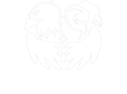 FPIC.INFO logo